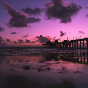 百灵鸟被操到爽
