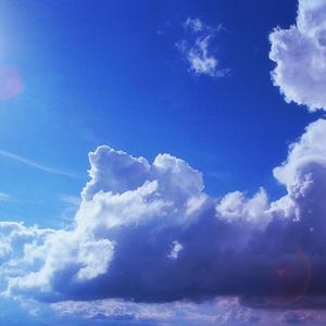 百灵鸟被操到爽
